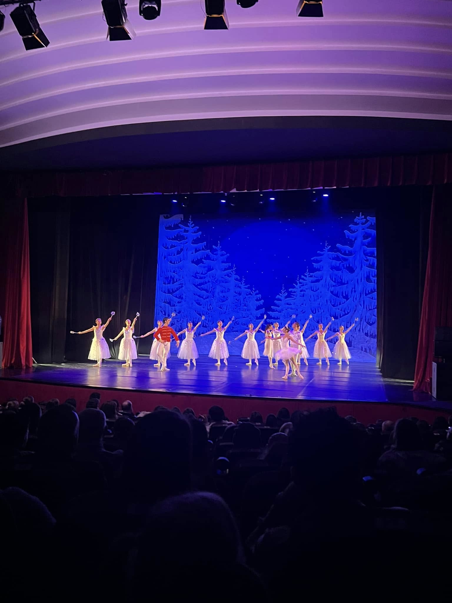 Grup Suport Oncologic Sibiu | O seară cu totul specială, plină de emoție și bucurie, alături de fetele din grupul oncologic, la spectacolul de balet oferit pe scena Centrului Cultural Ion Besoiu!