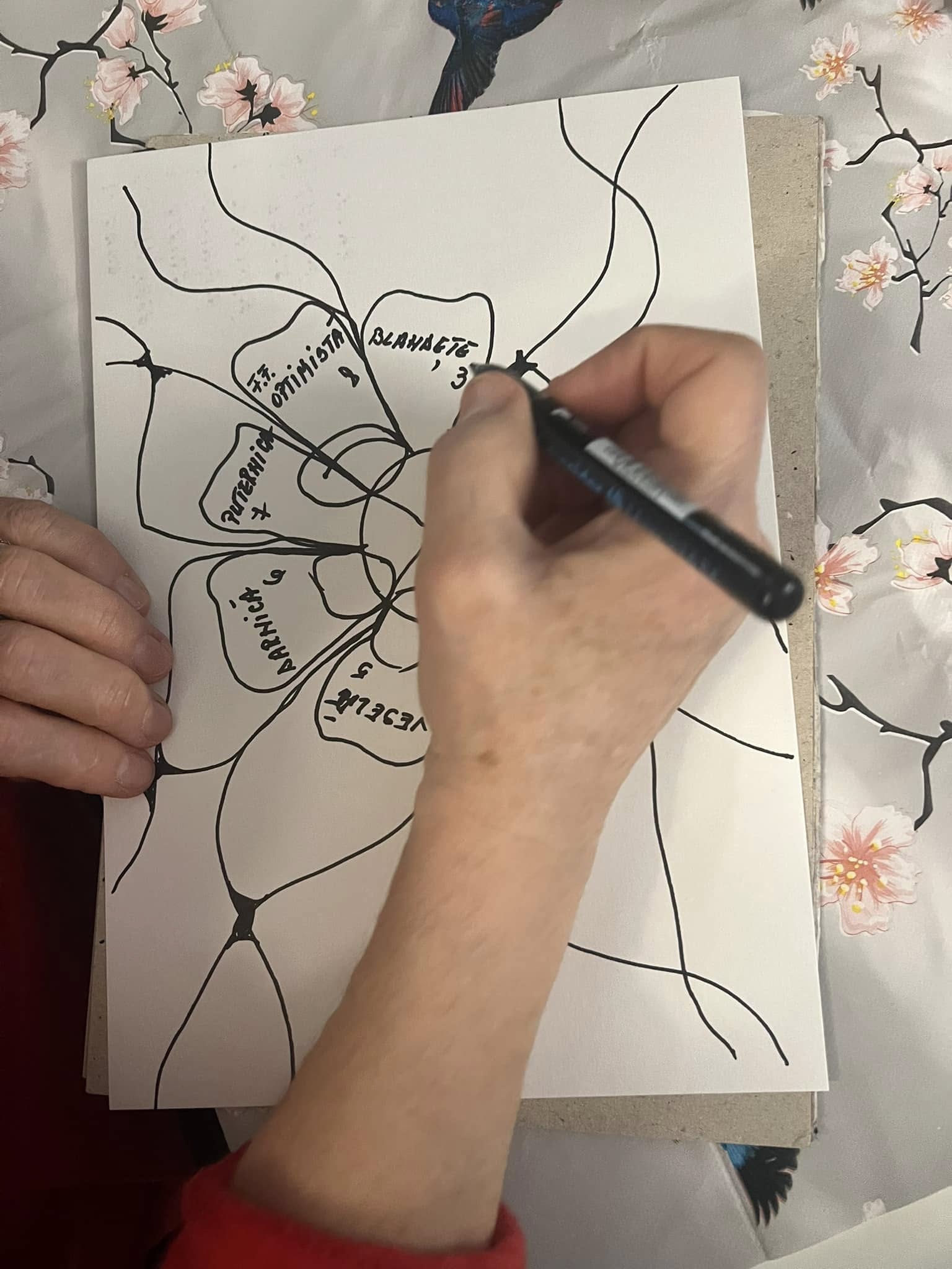 Grup Suport Oncologic Sibiu | Atelier de neuro-artă: „Floarea calităților noastre”